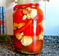 Tomates Fermentados